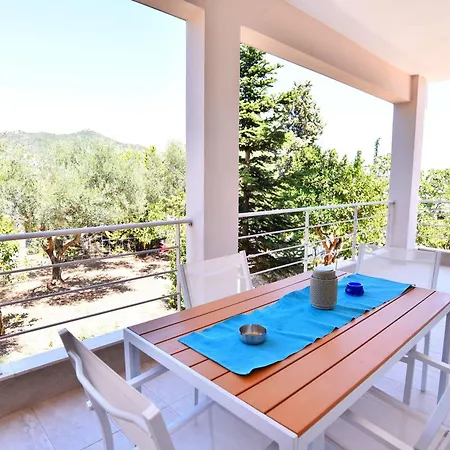 Adams PalaiónTsiflíkion