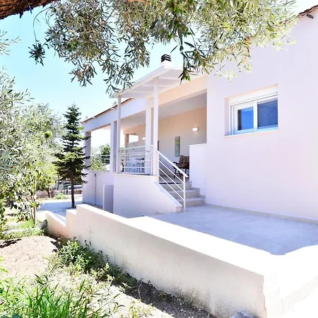 Adams * PalaiónTsiflíkion