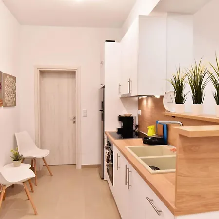 Adams * PalaiónTsiflíkion