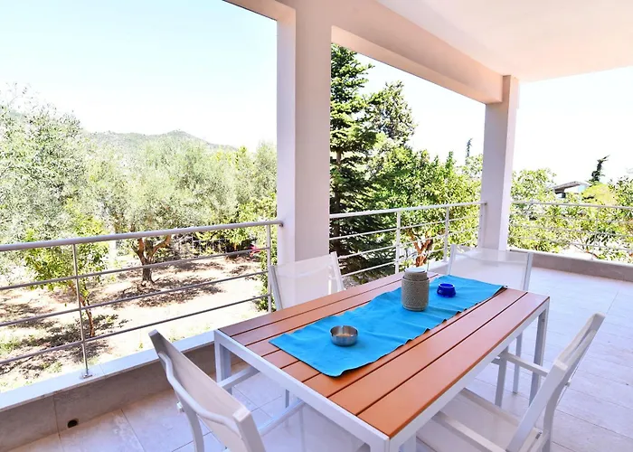 Adams PalaiónTsiflíkion