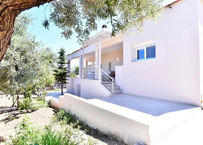 Adams * PalaiónTsiflíkion