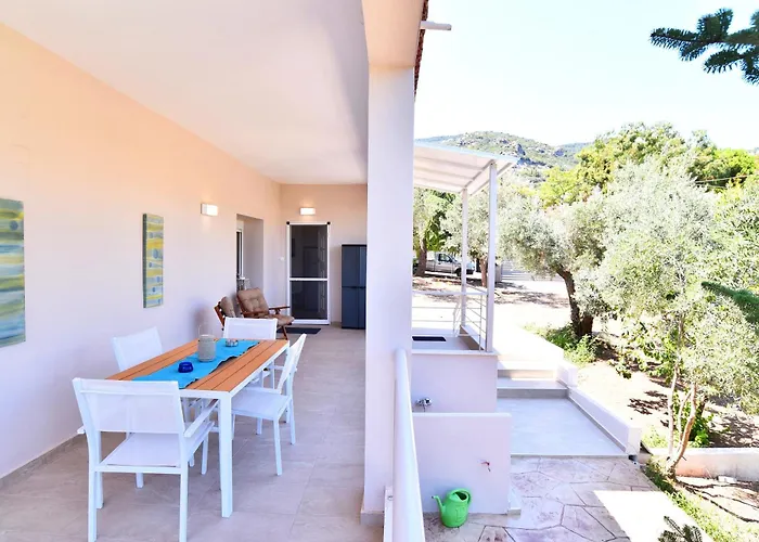 Adams PalaiónTsiflíkion