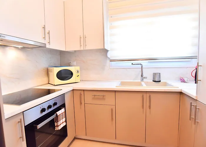 Adams * PalaiónTsiflíkion