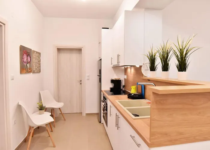 Adams * PalaiónTsiflíkion